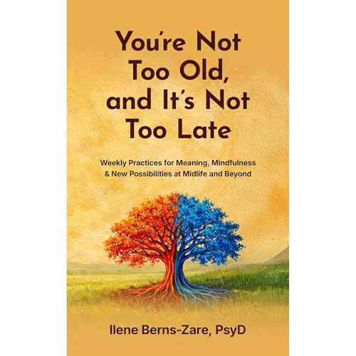 You're Not Too Old, and It's Not Too Late Audiolibro Por Ilene Berns-Zare arte de portada