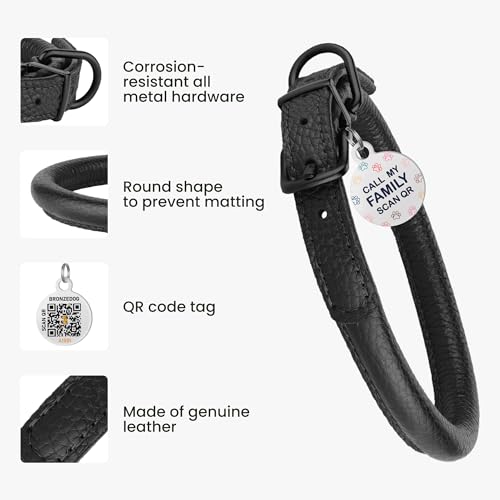 Rolled Leather Dog Collar with ID Tag