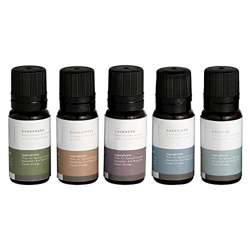 Mr. Steam (MS ESSENTIAL 5) Aromasteam essential...