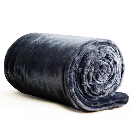 Heated Blanket Electric Blanket Throw, Buzzkick 2025 Upgraded 50x60in Dual-Spiral Heated Throw Blanket 10 Hours Auto-Off 8 Heat Levels Over-Heat Protection Soft Flannel Machine Washable for Gift(Grey)