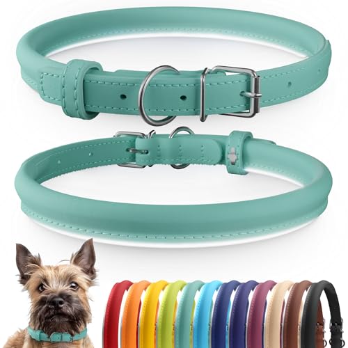 Tangle-Free Reflective Leather Dog Collar, 7-9 in, Mint Green