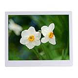 Digital Photo Frames