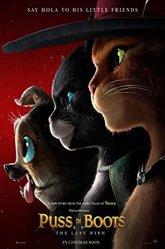 Movie Poster PUSS IN BOOTS THE LAST WISH 2 Sided ORIGINAL Advance 27x40