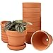 Hollyone 8 Stück kleine Terrakotta Töpfe, 13 X 13 cm rund Blumentopf Ton mit Untersetzer und Ablaufloch, klein Blumentopf mit Tablett, Terrakotta Sukkulenten Töpfe für Zimmerpflanzen Keramik Pflanzer