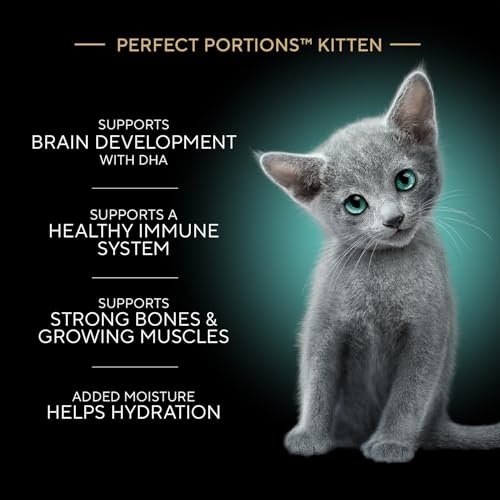 Image of Sheba Perfect Portions Kitten Wet Food, Pate Cat Food Wet Entree, Chicken Recipe and Salmon Recipe, 2.6 oz. Twin-Pack Trays (12 Count, 24 Servings) (Pack of 2)