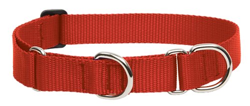 LupinePet Basics 1 Inch Red Martingale Collar