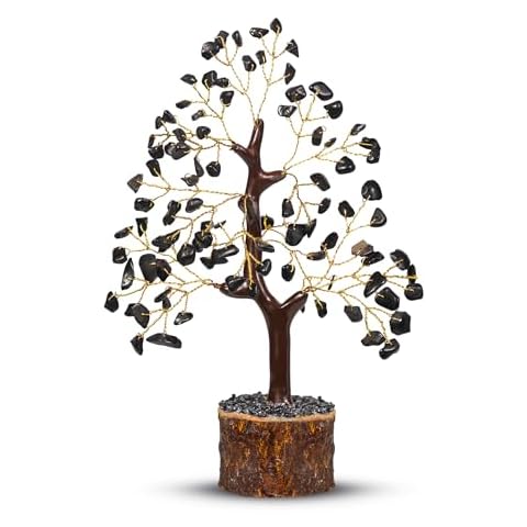 PYOR Black Tourmaline, Crystal Tree, Tourmaline Crystal, Feng Shui Tree, Spiritual Crystals and Stones, Crystal Decor, Black Tourmaline Stone, Good Luck Decorations, Spirtual Things, Reiki Supplies Cover