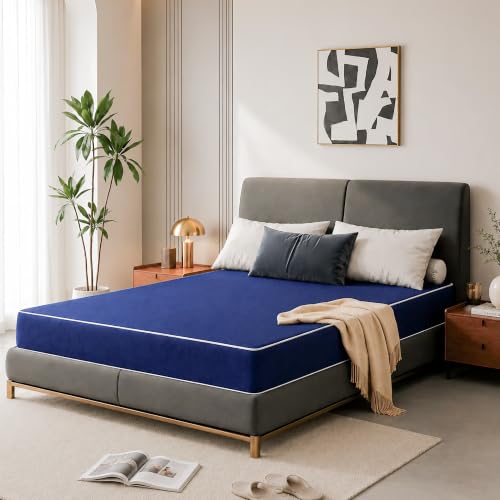 Treaton 10-Inch Medium Firm Water Resistance Nylon Vinyl Foam Mattress Noiseless Soft Cloud Feeling Body Heat Reflection Good for Hospital and Camp Queen Blue