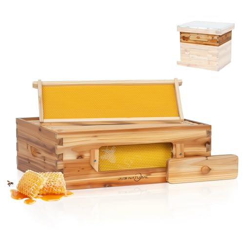 10 Frame Langstroth Medium Super Bee Hive Box with Frames and Foundation Beeswax Coated Cedar Honey Super with Observation Window Standard Beekeeping Hive Box for Honey Production & Expansion