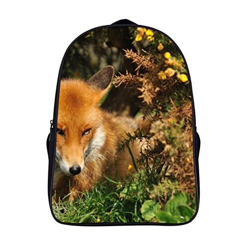 Sac d'école unisexe spacieux pour soulager le dos des collégiens avec style Fox