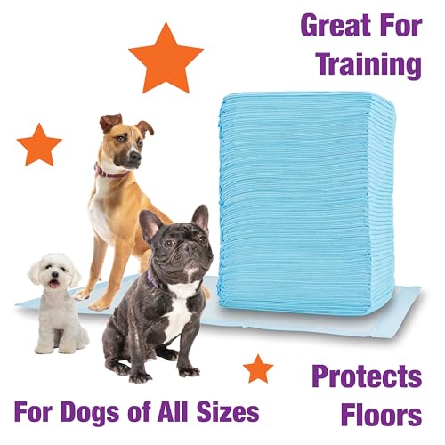 Image of Cudlie Training Pads for Dogs, 30 Count ,26 inchx30 inch| Puppy Pee Pads for Dogs | Absorbent Dog & Puppy Supplies for Dog Training and House Training