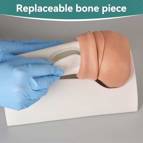 Image of Intraosseous (IO) Access Trainer, Adult Intraosseous (IO) Tibia Trainer, Tibial IO Bone for Medical Education