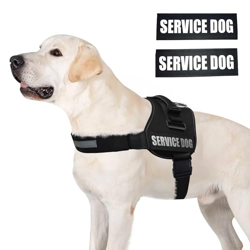 ALBCORP Service Dog Vest Harness – Reflective, No-Pull Harness with Handle & Comfy Mesh Padding – Sizes XXS-XL for Puppies, Small & Large Dogs – 2 Removable Service Patches Included (Large, Black) - Thumbnail 2