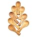8Pcs Small Wooden Salt Spoon Solid Wood Condiments Spoon Handmade Honey Teaspoon Seasoning Sugar Coffee Tea Jam Mustard Ice Cream Milk