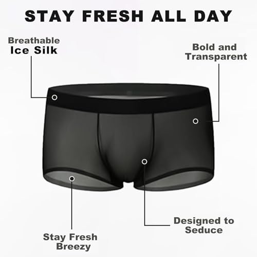 Niksy Underwear, Men's Ultra-Thin Ice Silk Transparent Boxer Briefs, Sexy See Through Boxers Bulge Pouch Boxer Briefs4