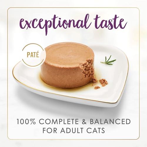 Image of Purina Fancy Feast Senior Wet Cat Food 7 Years Plus Beef Feast Pate - (Pack of 24) 3 oz. Cans