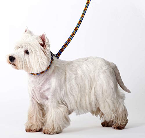 Dingo Winnetou Dog Leash Handmade in Indian Style Howgh! Black 13548, 1 x 130 cm - Image 3