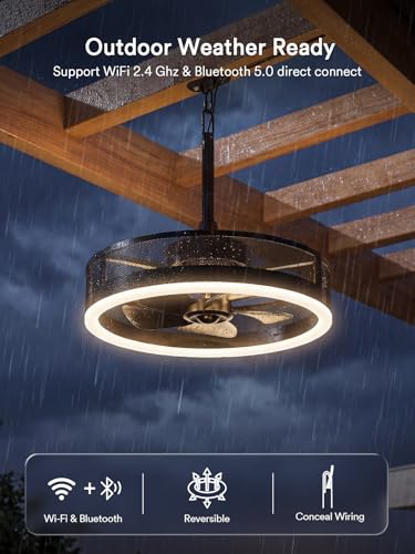 Smart Ceiling Fan with Voice Control