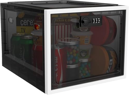 best lockable safes for families