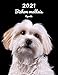 2021 Bichon maltais Agenda: A4, 123 Pages | 14 Mois | Planificateur & Organiseur | Calendrier | Une double page par semaine | Journal | Chien | En Francais