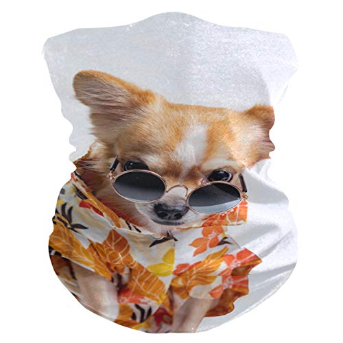 Bardic Balaclava Cachorro Bonito Usando Óculos de Sol Máscara Facial Proteção UV para Homens Mulhere