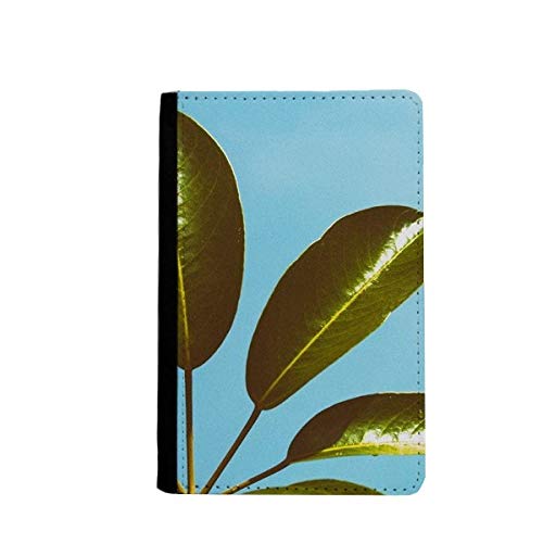 Passeport de voyage protégé de l'usure grâce à cet étui portefeuille floral bleu ciel
