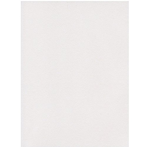 エスケント 色画用紙 ケント紙 スターライト A4 アイスブルー 100枚 5796007