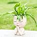 ZJ Whoest Cute Succulent Planter - Face Planter Flower Pot - Kawaii Head Planters -Unique Outdoor Indoor Planter - with Drainage Hole - (Doll Blessing)