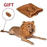 Fluffy Family Dog Lion Mane Dog Wig - Pet Costumes for Large Dogs and Medium Dogs - Adjustable Pet Costume Lion Wig for Halloween with Gift - Lion Tail