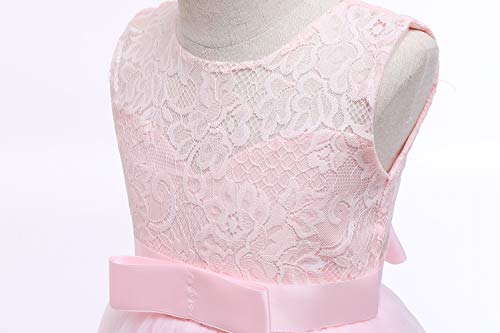 Glamulice Lace Bridesmaid Flower Girl Dress First Communion Kids Birthday Ball Gown Junior Elegant Tulle Maxi Long A Line Holiday Prom Pageant Wedding Party Dresses Christmas Blush Pink 14 15 Evening