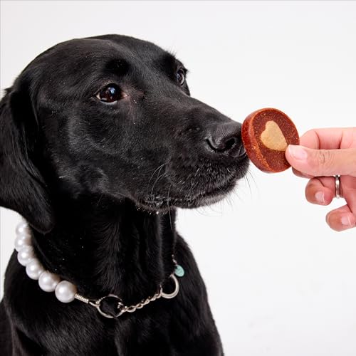 Image of ARK Naturals Soft Shield Protection+ Brushless Toothpaste, Dog Dental Chews for Large Breeds, Stops Plaque & Tartar, Freshens Breath