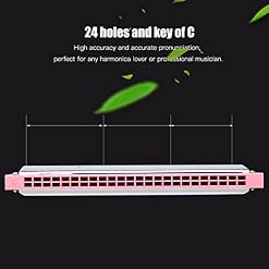 Harmonica pour Enfants, 24 Trous clé de C Métal Harmonica Bouche Orgue Enfants Jouet Harmonicas (Rose) - Les Beatles, Paul McCartney, John Lennon, RIngo Starr, George Harrison Harmonica pour Enfants, 24 Trous clé de C Métal Harmonica Bouche Orgue Enfants Jouet Harmonicas (Rose) – Image 7