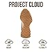 Project Cloud Trendy Fashion Sneakers for Women 2026 - Memory Foam and Non-Slip Comfortable Casual Ladies Shoes for Womens Fashion Sneakers - Lightweight Lace-up Shoes (LECCO,Raffia,8)