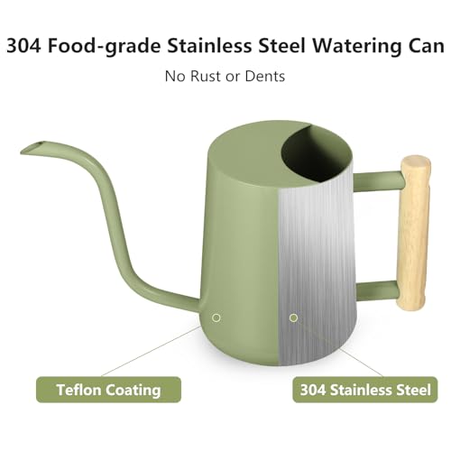 Image of Watering Can Indoor Plants, 35oz Small Indoor Stainless Steel Metal Watering Can Modern Decorative Watering Pot with Long Spout for Indoor House Plant Bonsai Garden Flowers (Sage Green)