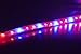 SMAKN Non waterproof Superbright 50cm Red, yellow, blue SMD Led Strip Light Lamp with USB Cable Port 5V