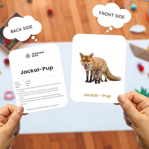 Image of SPARTAN KIDS Animals & Their Babies Flash Cards for Kids | 27 Early Learning Language Skills Flash Cards Easy & Fun Way of Learning 1 Year to 6 Years Babies