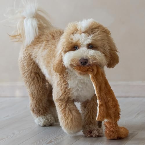 Skinneeez 470473 Hundespielzeug Eichhörnchen, 61 cm, braun