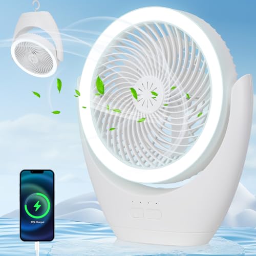 NISIDUN Rechargeable Desk Fan for Bedroom, 12000mAh Battery Operated Outdoor Portable Camping Fan with Light, 3 Speed Adjustment Desk Fans Small Quiet for Office Home