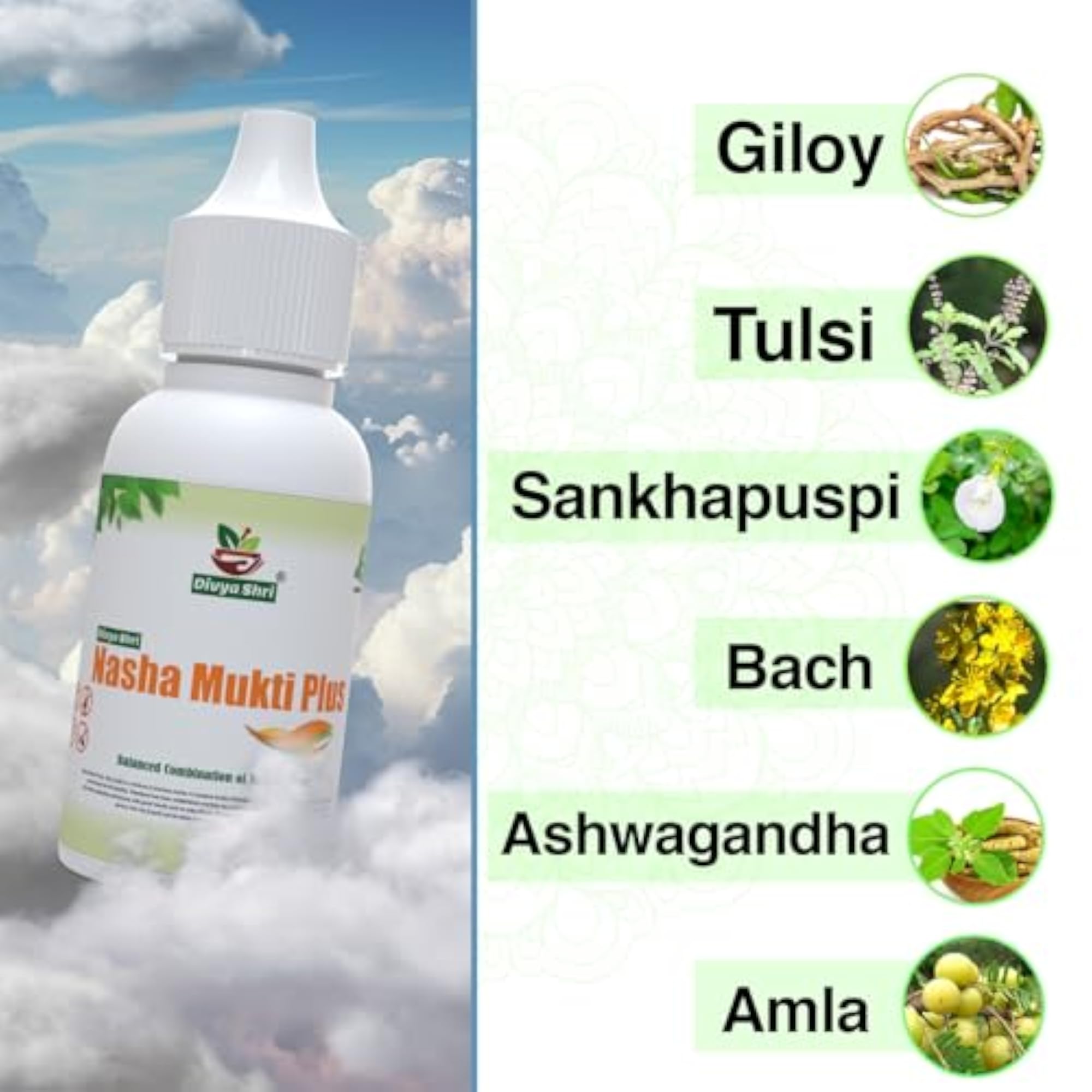 DIVYA SHRI Nasha Mukti Plus Liquid, Ayurvedic Solution