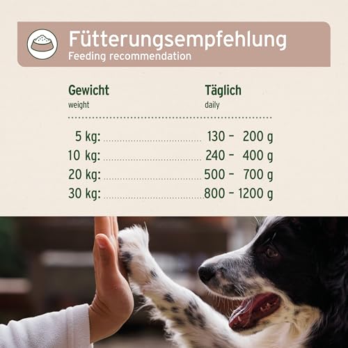 AniForte Hundefutter Nass FarmsLamb 6 x 400g – Nassfutter für Hunde, Frisches Lamm mit Gemüse & Früchten, hoher Fleischanteil, Natürliches Hundenassfutter glutenfrei