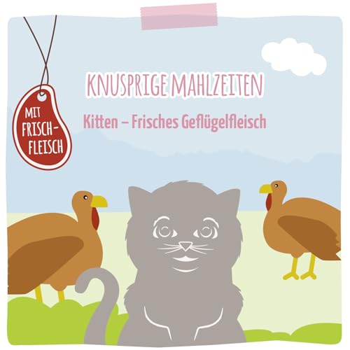 MjAMjAM- Premium Trockenfutter für Katzen- Knusprige Mahlzeiten- Kitten- Frisches Geflügelfleisch, 1er Pack (1x300g), getreidefrei-5