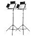 Fovitec  StudioPRO - 2x Daylight 900 LED Panel Bundle w/ Barndoors & Stands - [Continuous][Adjustable Lighting][V-Lock Compatible]