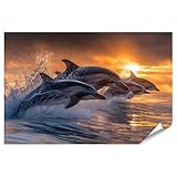 Montage facile et flexible - Idéal à fixer avec du ruban adhésif double face, des bandes pour poster ou de la pâte adhésive - Sans perçage. Adhère au papier peint, aux murs ou à d'autres surfaces lisses.