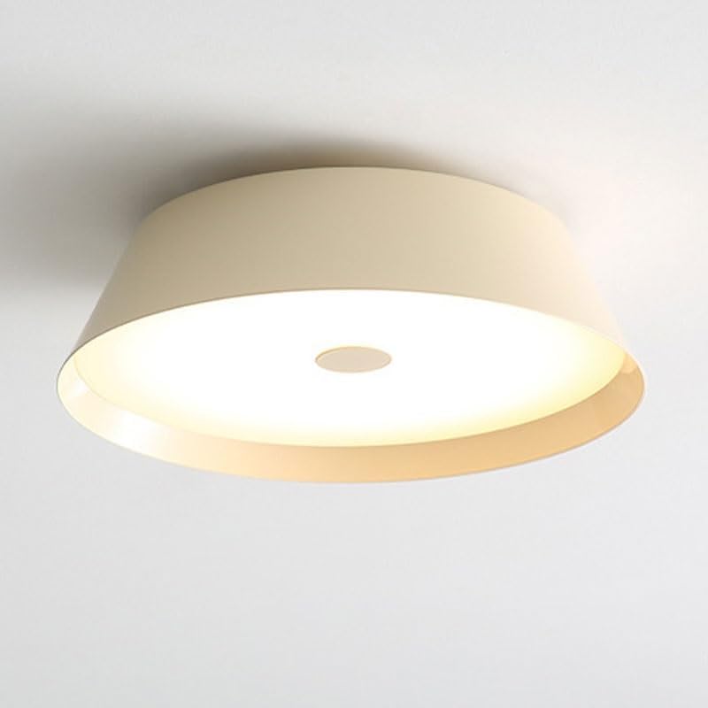 Modern Simplicity LED Iron Art Acrylic Ceiling Lamps Modern Simple Bedroom Flush Mount Lighting 3 Color Dimmable Lights for Dining Room Living Study