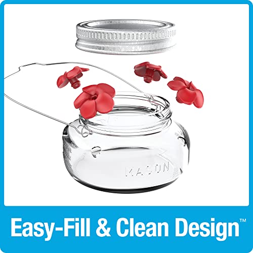 Nature's Way Bird Products Mjf1 Nature's Way Mason Jar Hummingbird Dish Feeder, Clear #TOP1
