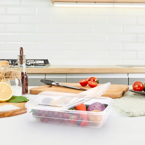 Contenedor para 4-6 bolas de masa de pizza hermético y transparente con asa 7