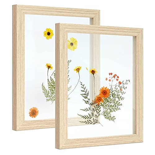 Sonefreiy Floating 8x10 Picture Frame Double Glass Photo Frame Set of 2