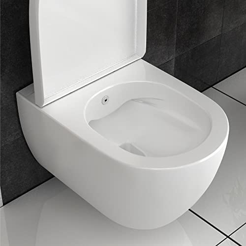 Dusch-WC Alpenberger Set mit Wandmontage und spülrandloser Toilettenschüssel