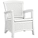 Suncast Elements Club Chair with Storage - Lightweight, Resin, All-Weather Outdoor Storage Chair - Built in Storage Capacity up to 11 lbs. - White
