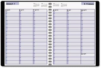 DayMinder Recycled Weekly Appointment Book, 8 x 11 Inches, Black, 2013 (G520-00)